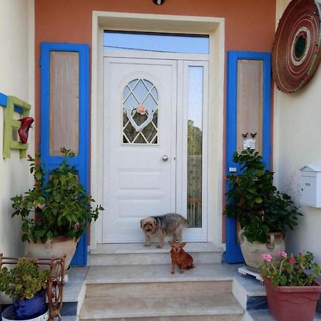 Stanza Privata Casa Artistica Mariola Bed & Breakfast San Sperate Екстериор снимка